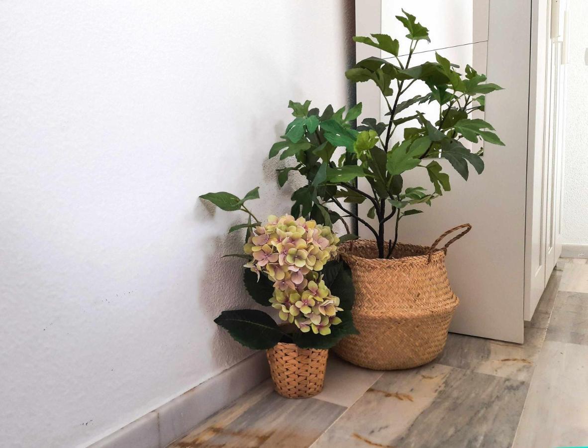 Lovely Center Apartments Seville - Sunny Balcony Alfalf Exterior photo